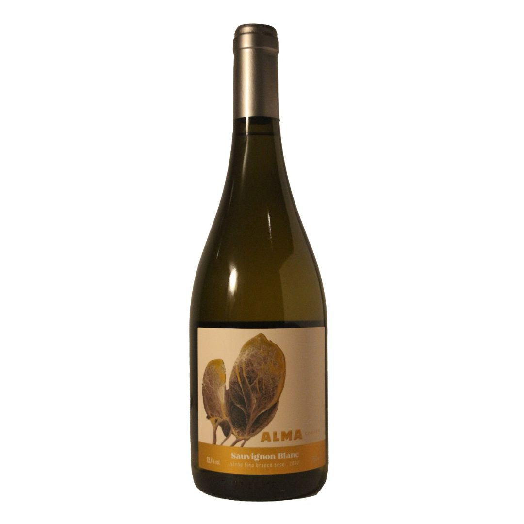 Sauvignon Blanc Concreto 2023